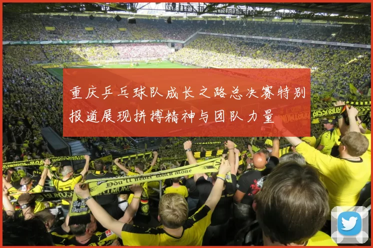 重庆乒乓球队成长之路总决赛特别报道展现拼搏精神与团队力量
